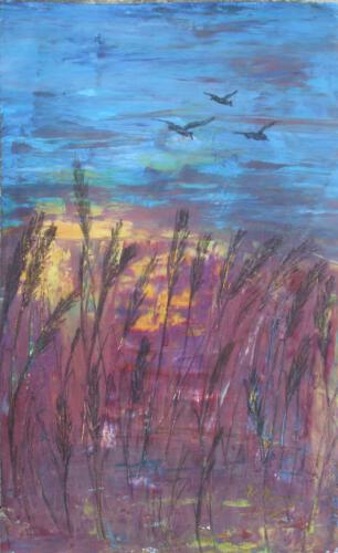 Abend im Moor 41 x 61