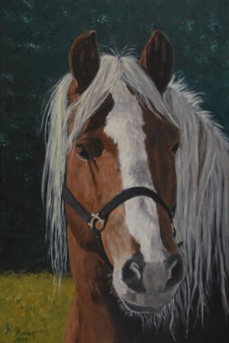 Pferdeglück 40 x 60