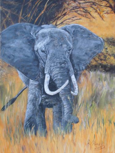 sanfter Riese 50 x 70 